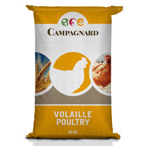 Moulée Ponte texturée 25kg