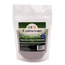 Semences de Micro-trèfle Pipolina 100g