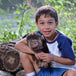 Peluche Bison 14po 2