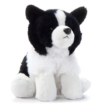 Peluche Chien Border Collie 9po