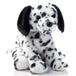 Peluche Chien Dalmatien 12po