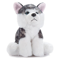 Peluche Chien Husky 9po