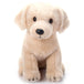 Peluche Chien Labrador blond 12po