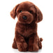 Peluche Chien Labrador brun 12po