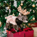 Peluche Wapiti 12po 2