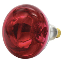 Ampoule chauffante lumière rouge 250W