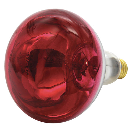 Ampoule chauffante lumière rouge 250W