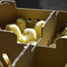 Poulettes à chair d'un jour | 7 août | Saint-Félix-de-Valois 2