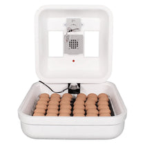 Incubateur d'œufs avec thermostat électronique