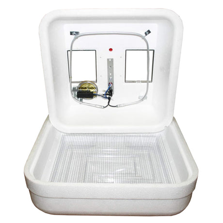 Incubateur d'œufs à air stable