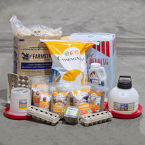#3 Kit de départ pour poules pondeuses | Le DELUXE