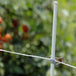 Ensemble de clôture électrique pour jardin