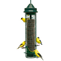 Mangeoire Squirrel Buster Finch pour Chardon