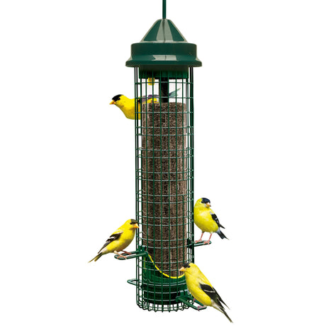 Mangeoire Squirrel Buster Finch pour Chardon