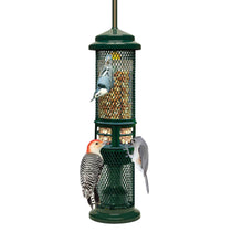 Mangeoire Squirrel Buster Nut Feeder pour Arachides