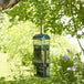 Mangeoire Squirrel Buster Suet pour Suif