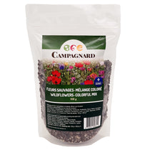 Semences de Fleurs sauvages - Mélange Coloré 150g