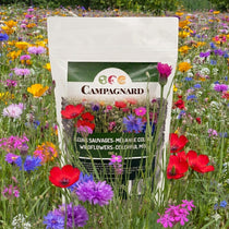 Semences de Fleurs sauvages - Mélange Coloré 150g