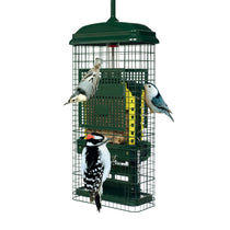 Mangeoire Squirrel Buster pour suif